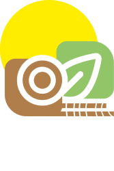 tropicalart